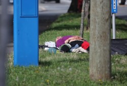 A man lies on the grass near a safe injection site on Victoria's Pandora Street. (Eric Plummer photo)