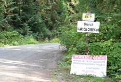 Access to 5040 Peak is via the Marion Main Forest Service Road located between Port Alberni and Ucluelet.