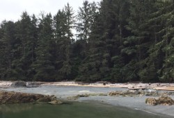 The beach in front of Ts’ishaa of the Broken Group Islands, the Tseshaht people’s place of origin. (Kelda Blackstone photo)