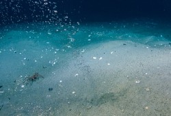 GEOMAR and NRCan discovered bubbles traveling 1.5 kilometers through the water column, indicating a methane seep from the seafloor. (Northeast Pacific Deep-Sea Expedition Partnership and CSSF ROPOS photos)