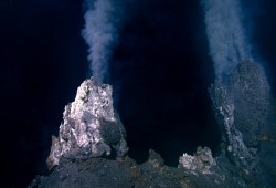 Hydrothermal vents release gas in the undersea region. (Northeast Pacific Deep-Sea Expedition Partnership and CSSF ROPOS photos).