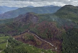 The aftermath of Mount Underwood raises questions around forestry management, as much of the wildfire spread through second growth timber. (BC Wildfire Service photo) 