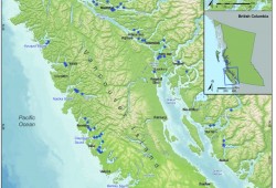 This map of Vancouver Island shows active licensed fish farms in dark blue and inactive farms in light blue. (Map supplied by DFO)