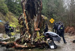 Police work to disassemble 'Cougar Camp' in fall 2025.