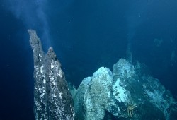 The methane bubbles from the cold seeps create methane ice, which split and lifts the sea floor. (Northeast Pacific Deep-Sea Expedition Partnership and CSSF ROPOS photos)