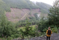 Clearcuts can be seen on the other side of the ridge over the Fairy Creek valley.