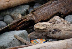 Plastic waste is seen washed up on the shore at Port Alberni’s Harbour Quay. (Karly Blats photo)