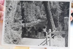 A group of girls captured in a photograph, their identities unknown. Written in pen on the back of the image: “Some of our girls on bridge Cathedral Grove. Alberni Indian Res. School. Summer /59.”