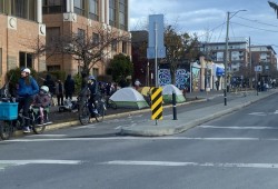 A line of tents sit along Victoria's Pandora Avenue.(Lisa Barnes photo) 