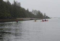 Kayakers head to Spring Island, where the base camp lies for West Coast Expeditions.