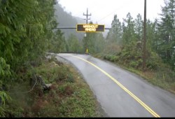 Highway 4 near Kennedy Lake midday on Dec. 18. (DriveBC photo)