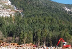 Government regulation of logging in watersheds lacks teeth according to a report from B.C. Forest Practices Board. Pictured is forestry operations near Port Alberni. (Mike Youds photo)