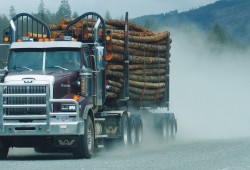  A forestry truck hauls logs on Franklin River Road south of Port Alberni. (Mike Youds photo)