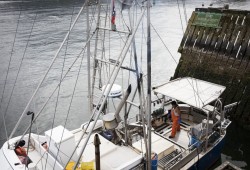 Terry Crosina cleans the "Nellie Mona," near the fourth street dock in Tofino, on July 23, 2020. (Photograph by Melissa Renwick)