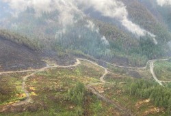 The Mount Underwood fire damaged six kilometres of power line, cutting off electricity to Bamfield, Anacla and Nitinaht for what is expected to last weeks. (BC Wildfire Service photo) 