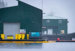 An estimated 7,000 to 8,000 litres of diesel fuel was reportedly spilled on Dec. 14 from a Grieg Seafood fish farm by Lutes Creek in Esperanza Inlet. (Nuchatlaht First Nation photo)