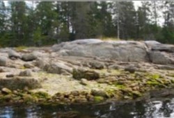 A 2019 study funded by the Hakai Institute revealed a clam garden built on northern Quadra Island’s bedrock. (Smith et al. photo)