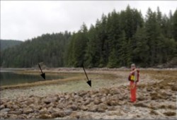 Researchers studied two walls at different tidal heights, part of an ancient clam garden on northern Quadra Island. (Smith et al. photo)