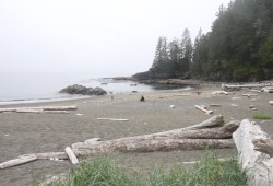 Clo-oose is no longer inhabited year-round, but passed by thousands who hike the West Coast Trail each summer.