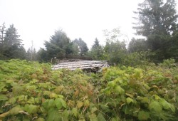The remains of Ralph Edgar's home remain at Clo-oose.