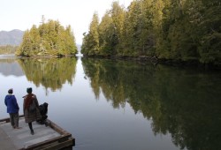 Tofino's drinking water comes from Meares Island. (Eric Plummer photo)