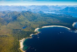 An aerial view over the old-growth forests of Flores Island in Ahousaht territory. (TJ Watt/Ancient Forest Alliance photo) 