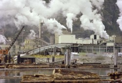 The Gold River Pulp Mill was located 13 kilometres south of the town, but right across the highway from the Mowachaht/Muchalaht on-reserve community at Ahaminaquus. Many living there noted health concerns due to pollution from the busy pulp mill. (BC Archives photo) 