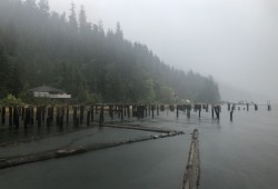 Kildonan is located in the Uchucklesaht Inlet. (Eric Plummer photo)