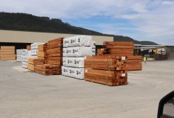 Lumber sits by the Alberni Inlet at the San Group mill in 2021, awaiting shipment oversees. The sawmill south of Port Alberni ceased operations in October as the San Group filed for creditor protection. (Denise Titian photo)