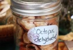 Preserved octopus was on display at the gathering.