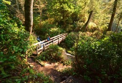 Winter storms damaged infrastructure, including bridges, boardwalks, shelters and campsites. 