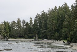 Kiixin is the ancient summer village of Huu-ay-aht First Nations in Barkley Sound.