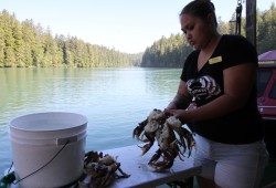 Krissy Edgar breaks open crabs at the floating facility.