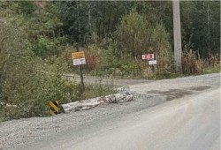 One of many logging road branches is seen on the left side of the route from Port Alberni to Nitinaht. (Submitted photo)