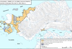 The B.C. Supreme Court has recognized a portion of northern Nootka Island as Nuchatlaht Aboriginal title land. (S-170606 Vancouver Registry map)