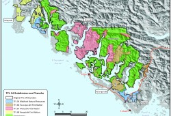 About 52,000 hectares from Tree Farm Licence (TFL) 54 have been removed from the licence area and divided into three new TFLs: TFL 66, TFL 67, and TFL 68. (Map provided by MaMook Natural Resources)