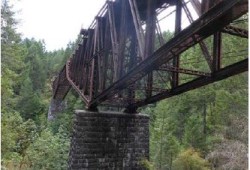 Numerous bridges supporting the railway need upgrades for the line to function again. Pictured is a bridge over Niagara Canyon near Victoria. 