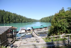 The Nitinaht Crabshack is offers meals, accommodation and transportation at the southern end of Nitinaht Lake.