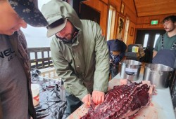 Spencer Greening shows the Nuu-chah-nulth Youth Warriors how to butcher a seal. (Submitted photo)