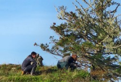 Huu-ay-aht members Leonard Nookemis and Andrew Clappis Jr. look for an area in Sarita Bay to hunt harbour seal. (Submitted photo)