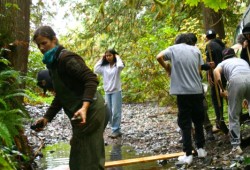 Land-based worker Erin O’Hagan wades in the creek, a trip that is part of the pilot program offered at Alberni District Secondary School this year.. 