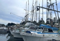 Old fishing boats moored at Tofino’s Fourth Street Dock await their turn to be removed and demolished. (Nora O’Malley photo)