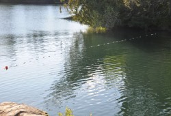 A net stretches across the Somass River. As of the second week of September an estimated 54,330 chinook salmon were caught from the river and Alberni Inlet.