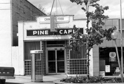 On that cold, April afternoon in 1977, Lee had been at dance class just a few short and well-populated blocks from her parent’s restaurant. She was to walk from the studio to Pine Café, a Third Avenue diner that was only about a five-minute walk away.
