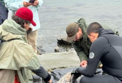 Spencer Greening, centre, and members Nuu-chah-nulth Youth Warrior Family inspect a harbour seal they recently harvested for a community feast. (Rachel Dickens-Greening photo)