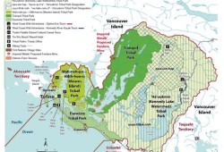 If approved, this means that nearly 60 per cent of the current TFL 54 would be conserved, with 55,000 hectares remaining in forestry tenures. Pictured is a map of the Tla-o-qui-aht Tribal Parks. 