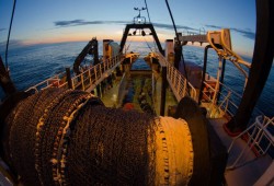 For the 2026 season from Feb. 21 to Sept. 8, DFO says there are 27 actively fishing trawl vessels, a number that could change as the season remains open. Pictured is a trawler off the West Coast. (Mark Wunsch/Greencoast Media photo)