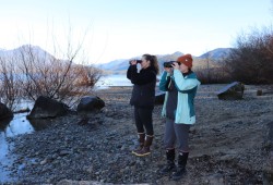 Vancouver Aquarium Marine Mammal Rescue Society vet staff Katie Dantoni and Sion Cahoon survey Kennedy Lake for signs of the lost sea lion. (Nora O’Malley photo)