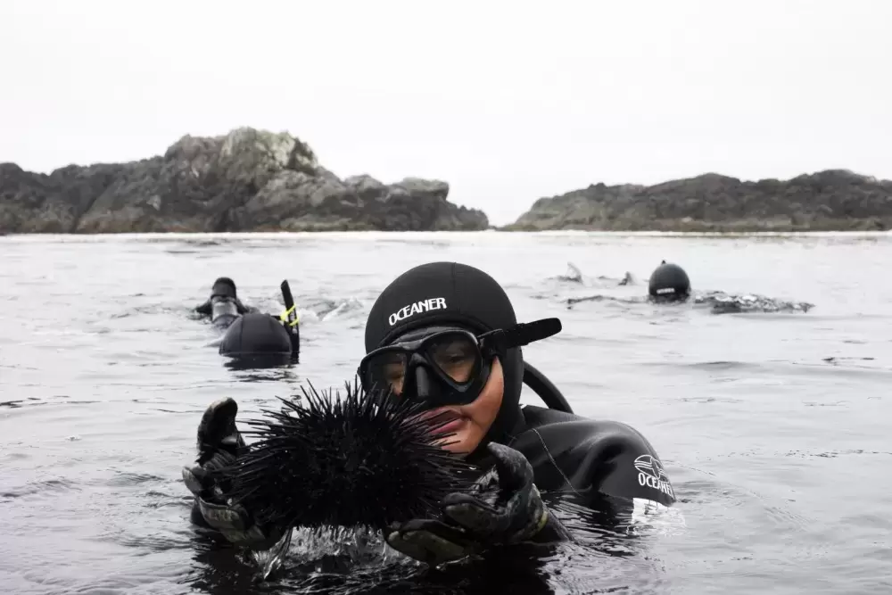 Jaidin Knighton holds a sea urchin while snorkelling along the Wild Pacific Trail, in Ucluelet, on August 18, 2021.