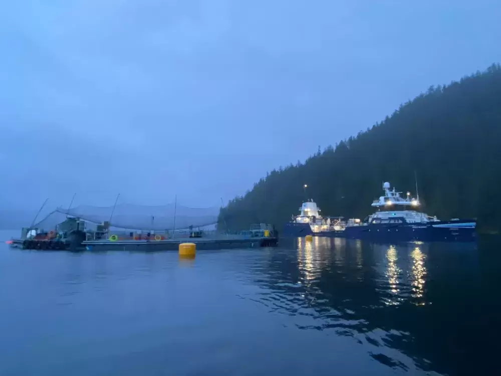 Fish carrier Ronja Islander at Millar Channel with the trial system. (Cermaq photo)